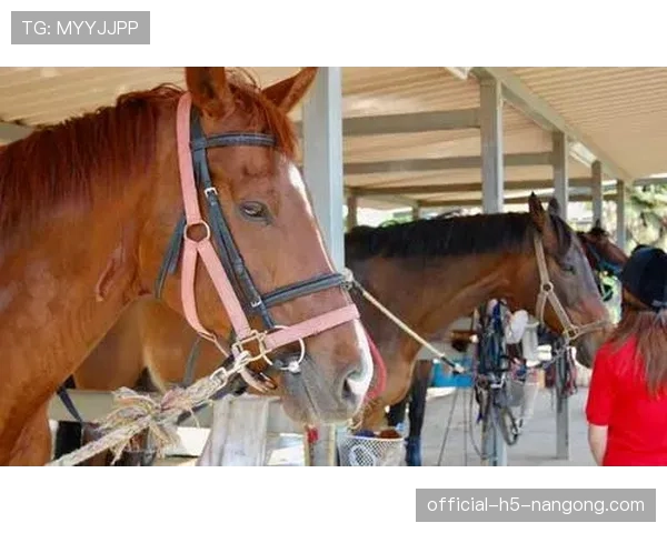富里睡醒发现自家马场又多了匹新马，这月第几回了？